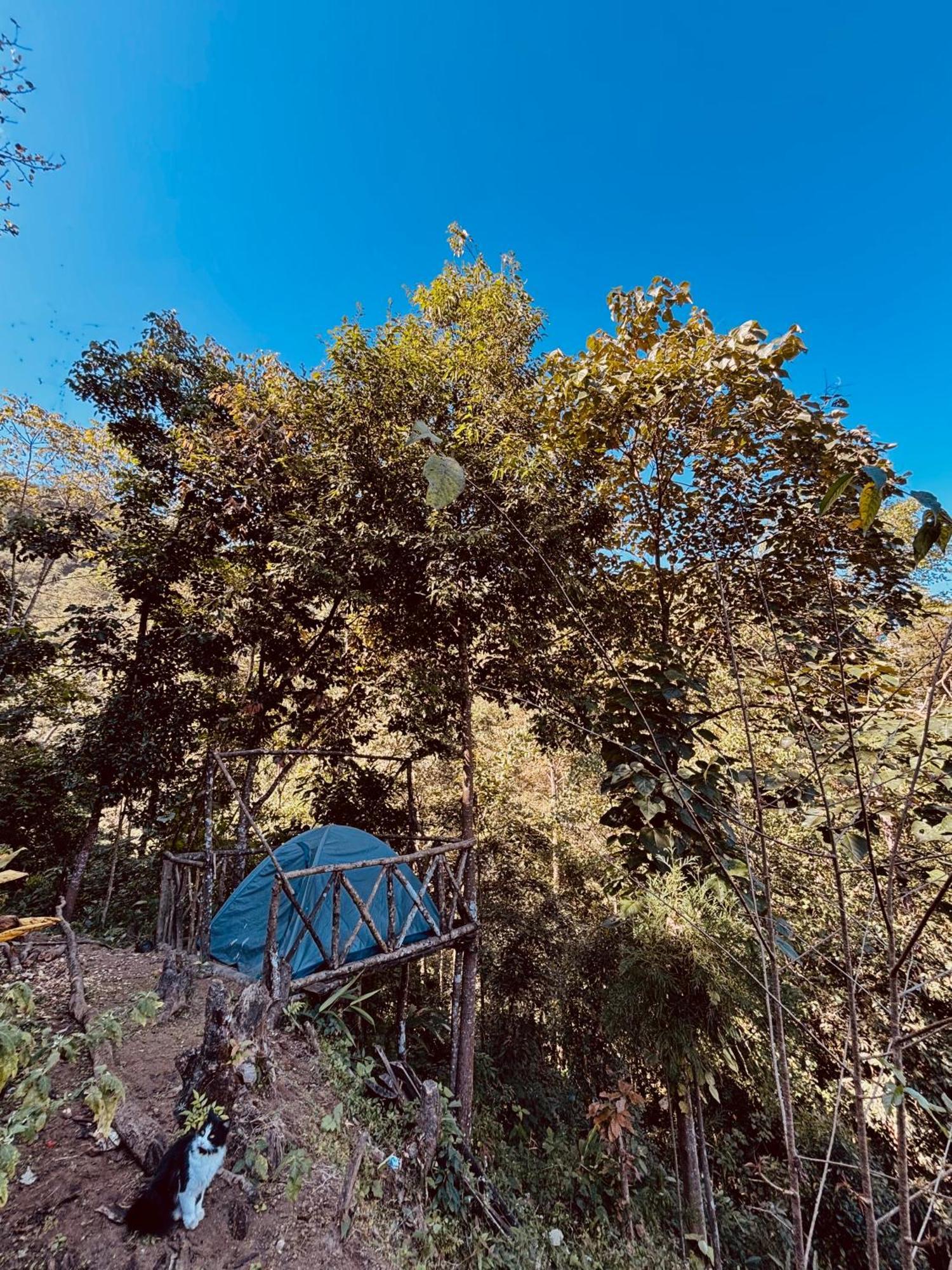 Hosanna Homestay Darjeeling  Exterior photo